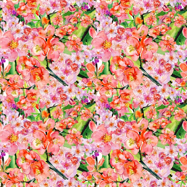 Cherry Blossom Pattern — Stock Photo, Image