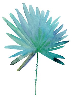 yeşil tropikal yaprak