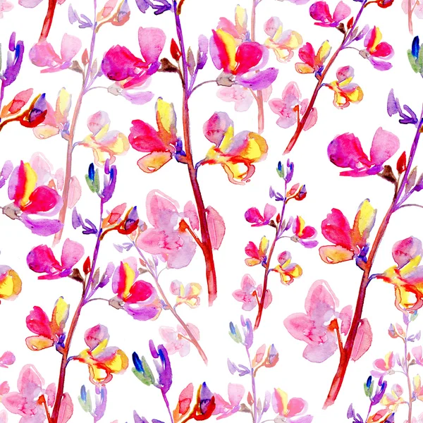 Fundo com flores de ervilha doce guirlanda — Fotografia de Stock