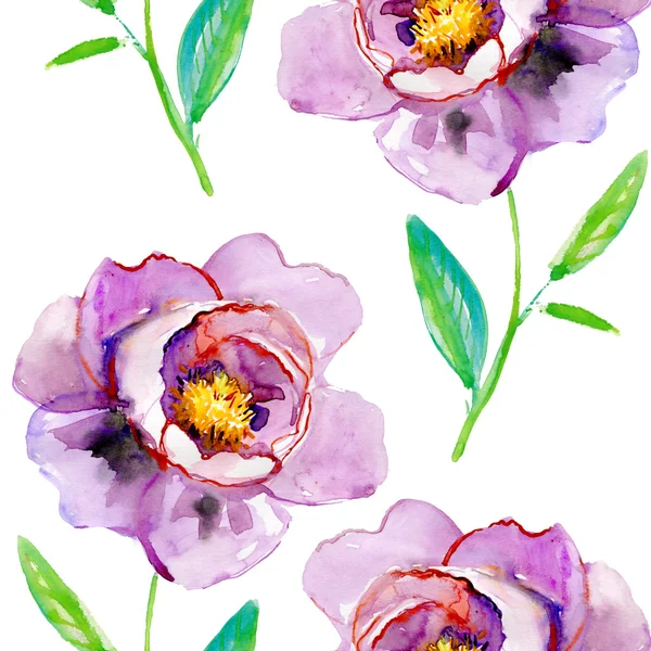 Красивые пионские цветы — стоковое фото