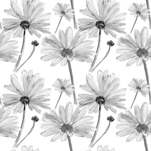 Grey flowers. Daisy — Stock Photo, Image