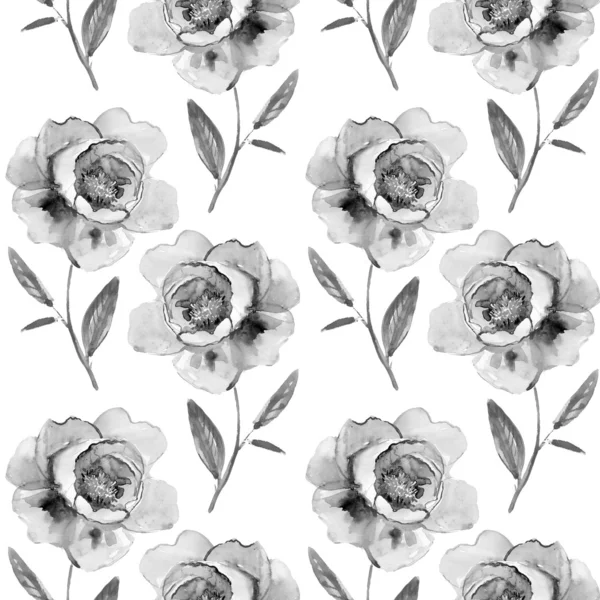 Grijze bloemen. Peony bloemen — Stockfoto