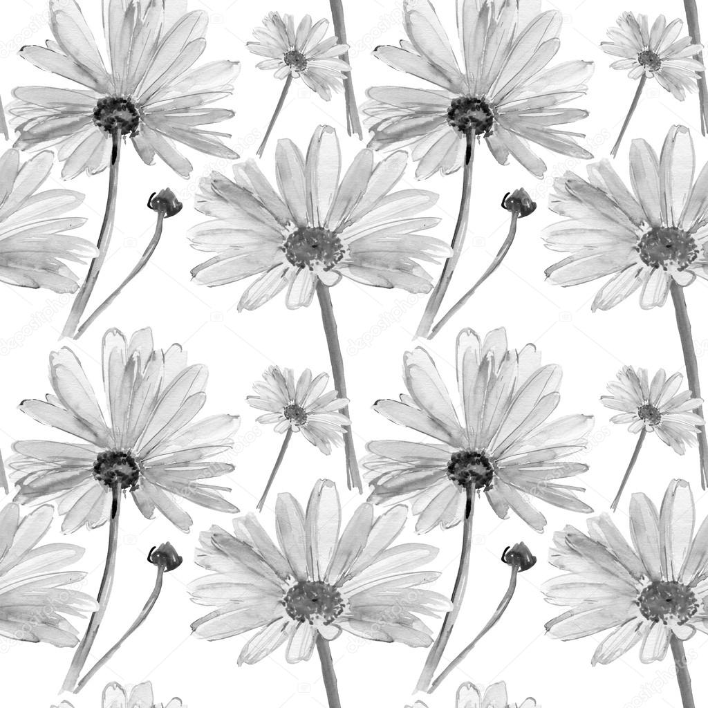 Grey flowers. Daisy