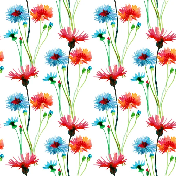 Cornflowers Seamless Pattern — Stock Photo, Image