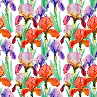 Dikişsiz desen mor ve kırmızı Hercai Menekşe çiçek