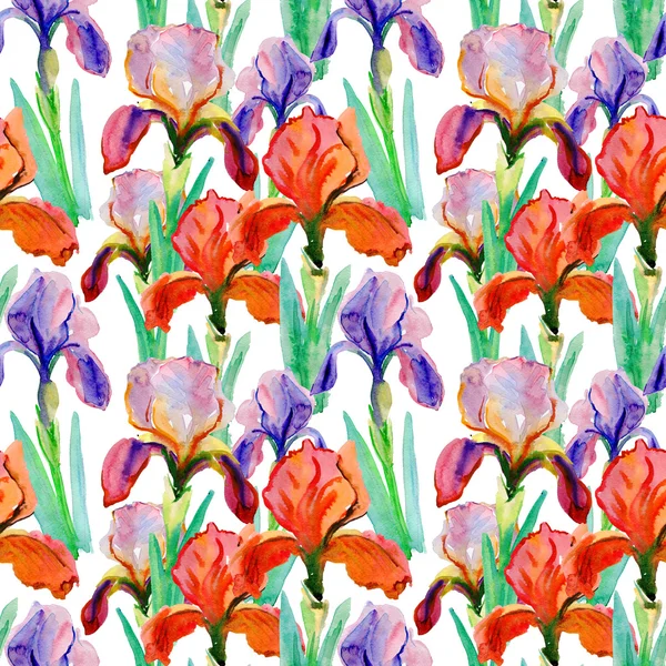 Patrón inconsútil pansy flor violeta y roja —  Fotos de Stock