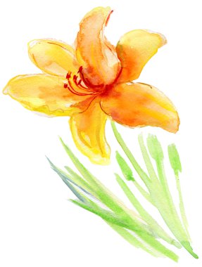 Dekoratif çiçek, suluboya resim