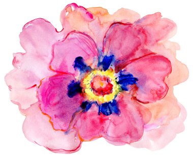 güzel renkli çiçek