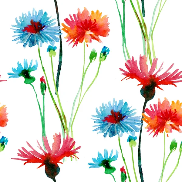 无缝壁纸与野生花卉 水彩插画 — 图库照片