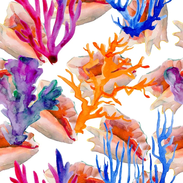 Watercolor shells and corals — Stock Photo, Image