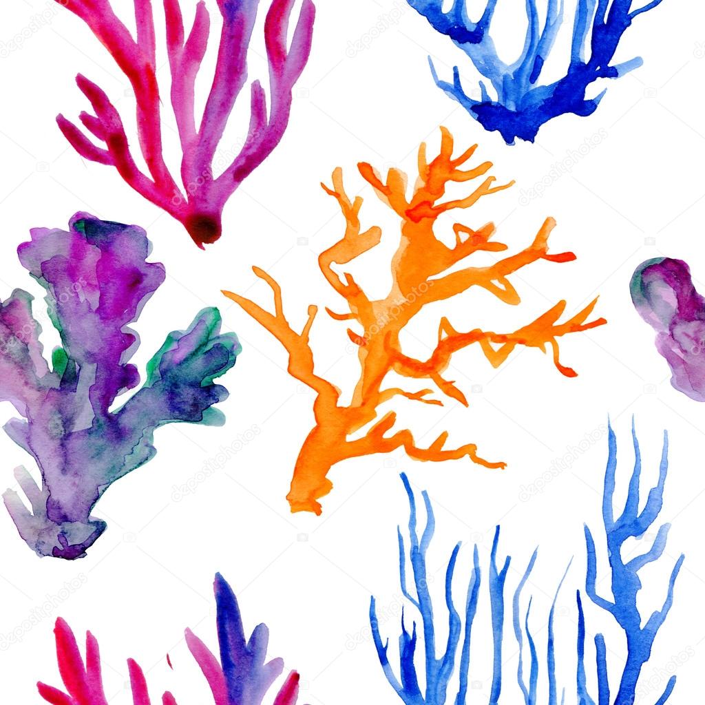 pattern of sea corals
