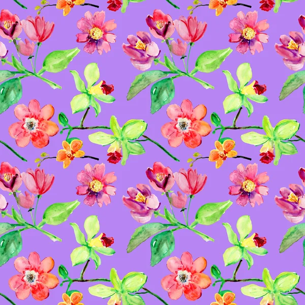 Kleurrijke pioenroos bloem — Stockfoto