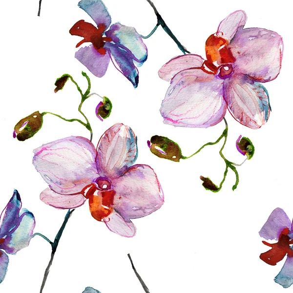 Motif d'orchidées roses sans couture — Photo