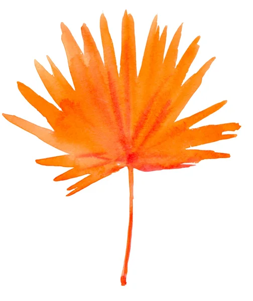 Oranje blad. — Stockfoto