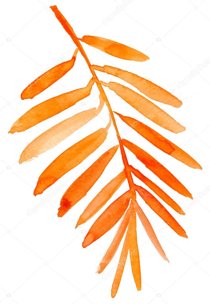 Orange palm leaves