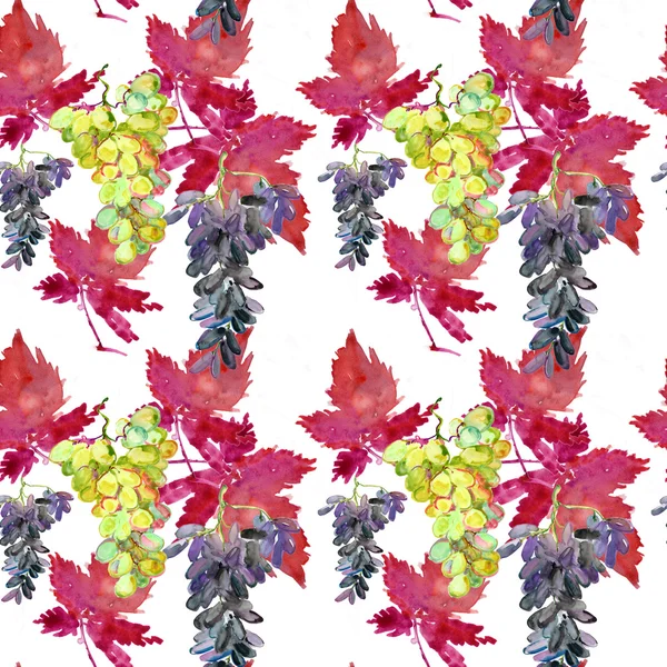 Naadloze patroon met druivenmost, wijnbouw en bladeren — Stockfoto