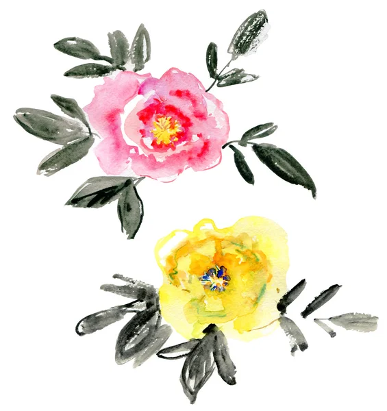 Suluboya resimlerdeki çiçeklerin renkleri — Stok fotoğraf