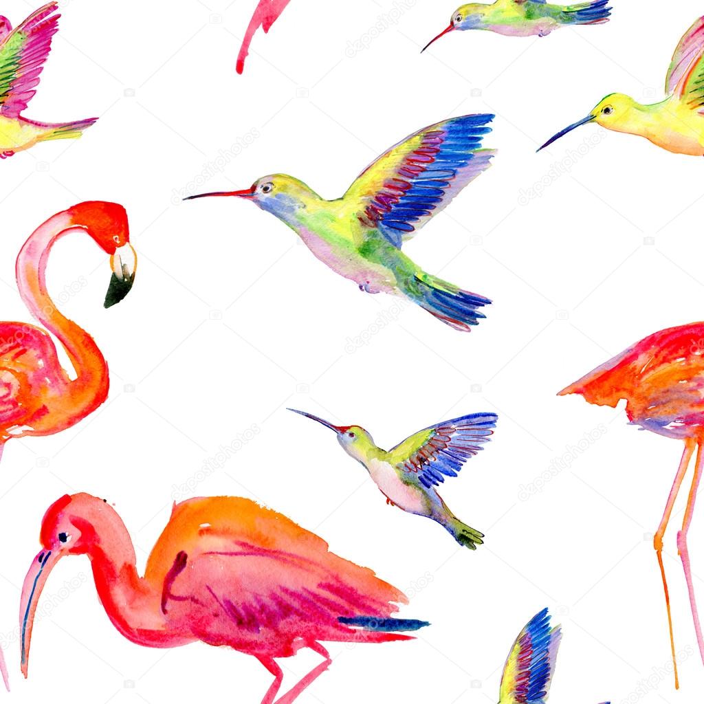 Watercolors birds