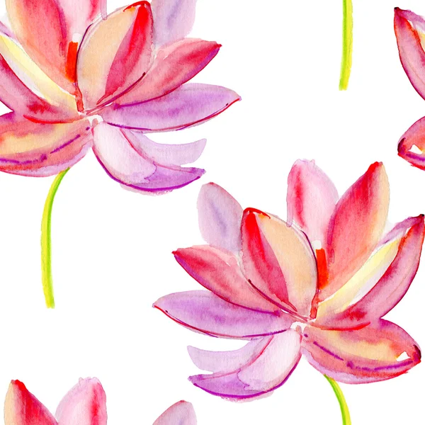Magnolia floral pattern. — Stock Photo, Image
