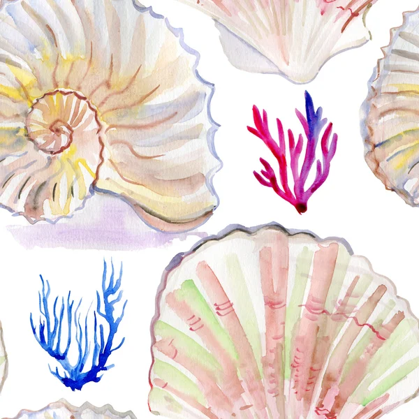 Sea shells and corals pattern — Stock Photo, Image