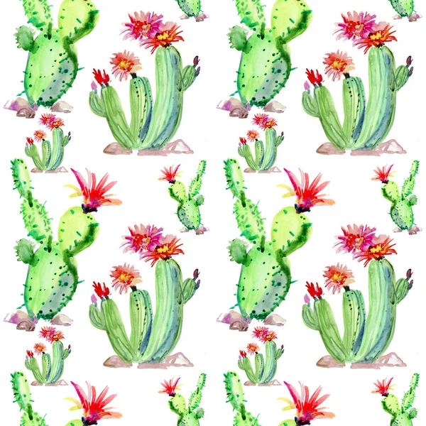 Vzor bezešvé roztomilé kaktus — Stock fotografie