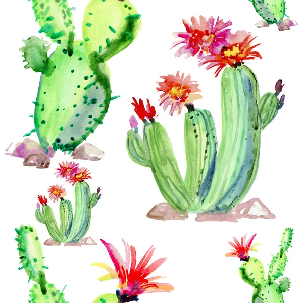 Patrón de cactus lindo sin costuras — Foto de Stock