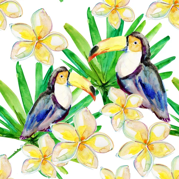 Toucan and plumeria flowers — Stock Photo, Image