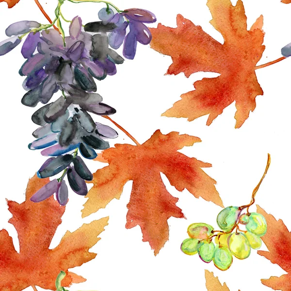 无缝模式与葡萄和叶子 — 图库照片