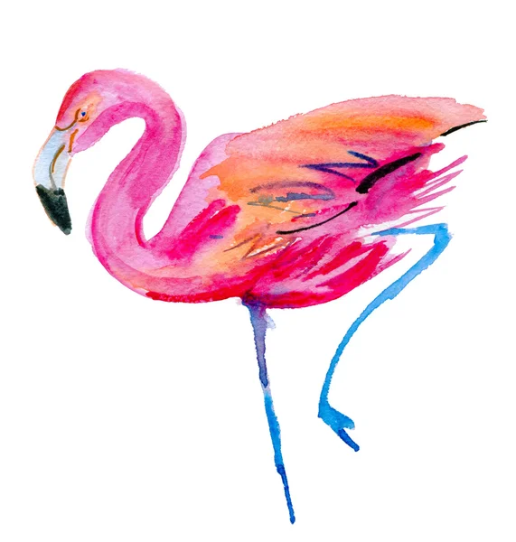 Flamingo-Aquarellzeichnung — Stockfoto