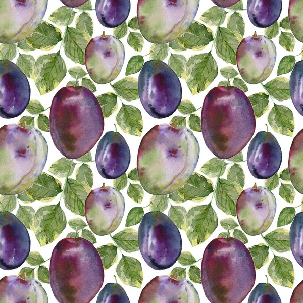 Seamless Pattern Watercolor Plums Leaves Hand Drawn Illustration — Stock Photo, Image