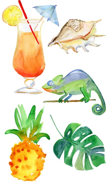 Akvarel Ilustrace Tropických Prvků — Stock fotografie