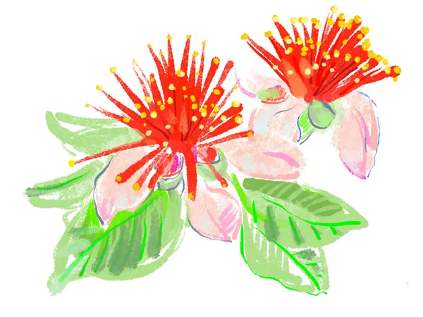 Virágok Kézzel Rajzolt Vázlat Akvarell Illusztráció — Stock Fotó