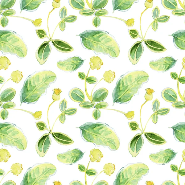 Nahtloses Muster Mit Handgezeichneten Aquarellblumen Vektorillustration — Stockfoto