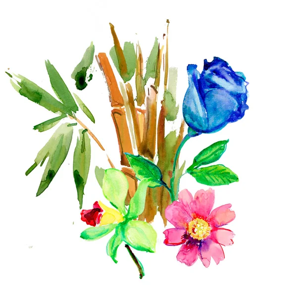 Watercolor Illustration Beautiful Floral Background Flowers — Fotografia de Stock