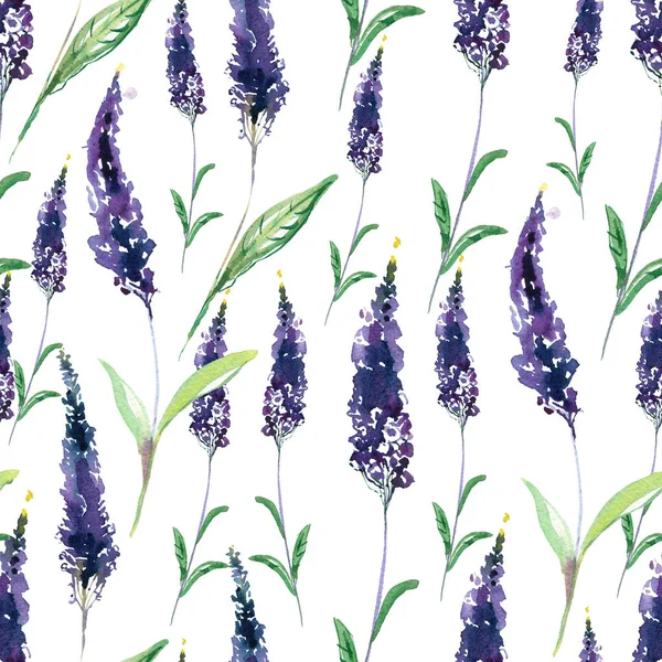 Watercolor Seamless Pattern Lavender Flowers Leaves Hand Drawn Illustration — ストック写真