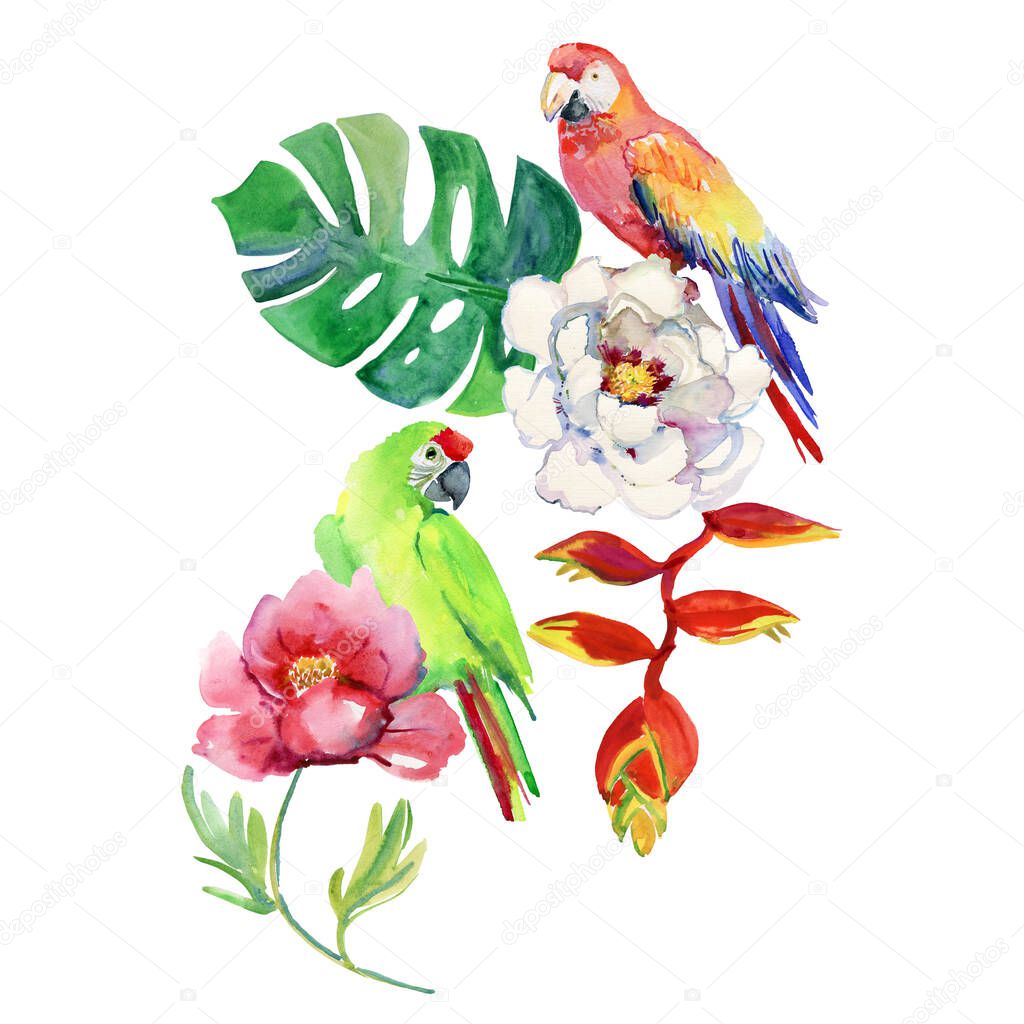 watercolor illustration of flowers and parrots 