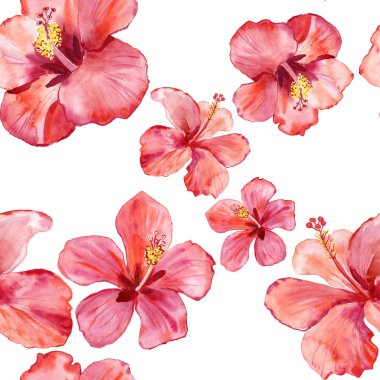 pink Hibiscus, bright flowers, seamless floral pattern 