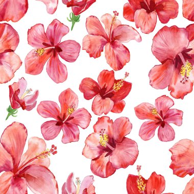 pink Hibiscus, bright flowers, seamless floral pattern 