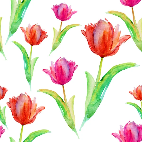Seamless Background Red Flowers Tulips Illustration — Zdjęcie stockowe