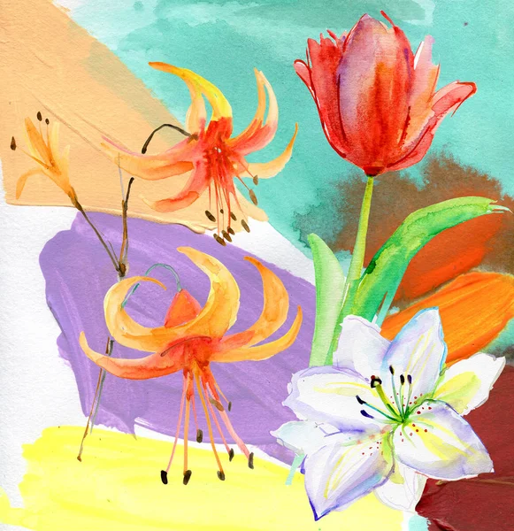 Hand drawn flowers on abstract background. Lilies and tulips. Beautiful flowers, Watercolor painting