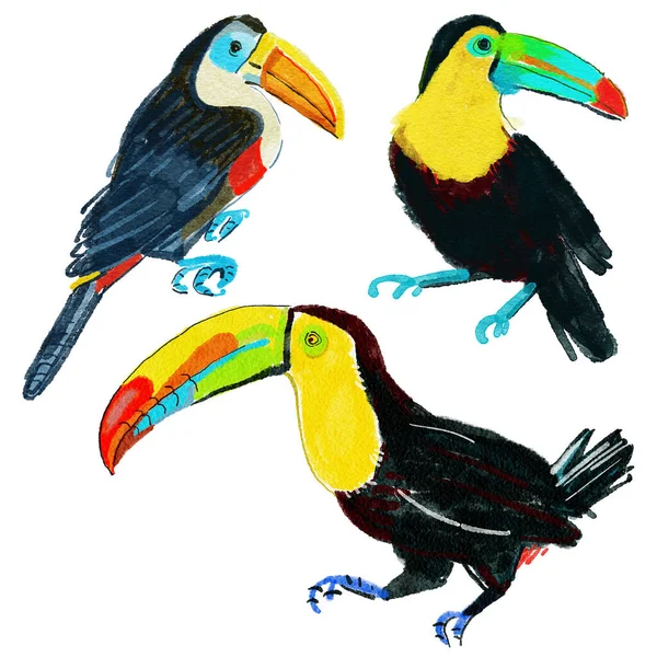 Set Lovely Toucans Different Angles White Background Tropical Birds Set — Φωτογραφία Αρχείου