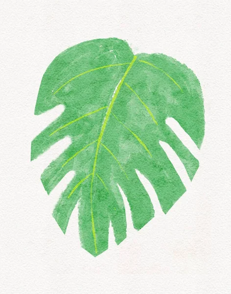 Hand Drawn Watercolor Green Leaf Watercolor Illustration Different Design — Photo