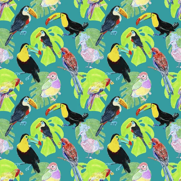 Oiseaux Toucans Paons Perroquets Aux Feuilles Fleurs Aquarelle Dessin Mode — Photo