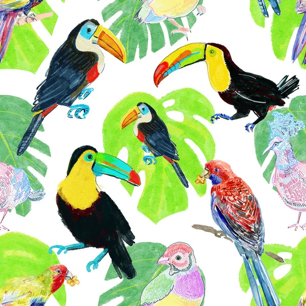 Pássaros Tucanos Pavões Papagaios Com Folhas Flores Aquarelle Desenho Aquarelle — Fotografia de Stock