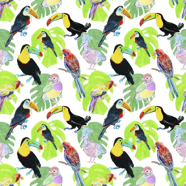 Pájaros Tucanes Pavos Reales Loros Con Hojas Flores Acuarela Dibujo — Foto de Stock