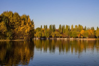 Gölün kıyısında altın yapraklı parlak sonbahar ağaçları ve Izmailovsky parkında açık bir günde yansıma ve kopyalamak için bir alan