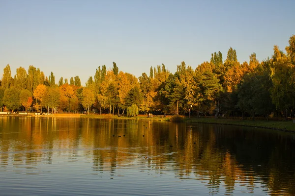 Piękne Drzewa Jasnymi Jesiennymi Liśćmi Brzegu Stawu Refleksją Słoneczny Październikowy — Zdjęcie stockowe