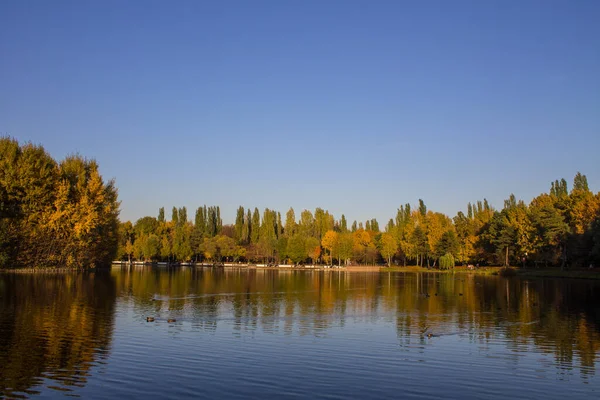 Beautiful Trees Bright Autumn Foliage Shore Pond Reflection Clear Sunny — Stock Photo, Image