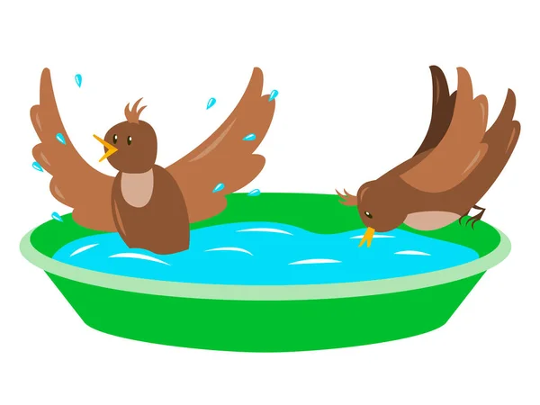 Vektör illüstrasyonu- iki komik kuş su içer ve izole edilmiş parlak bir bahçe küvetinde banyo yapar. Kavram - kuşlarla ilgilenmek