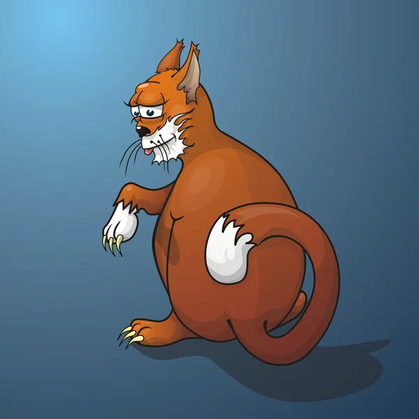 tatlı bir ev hayvan kedi